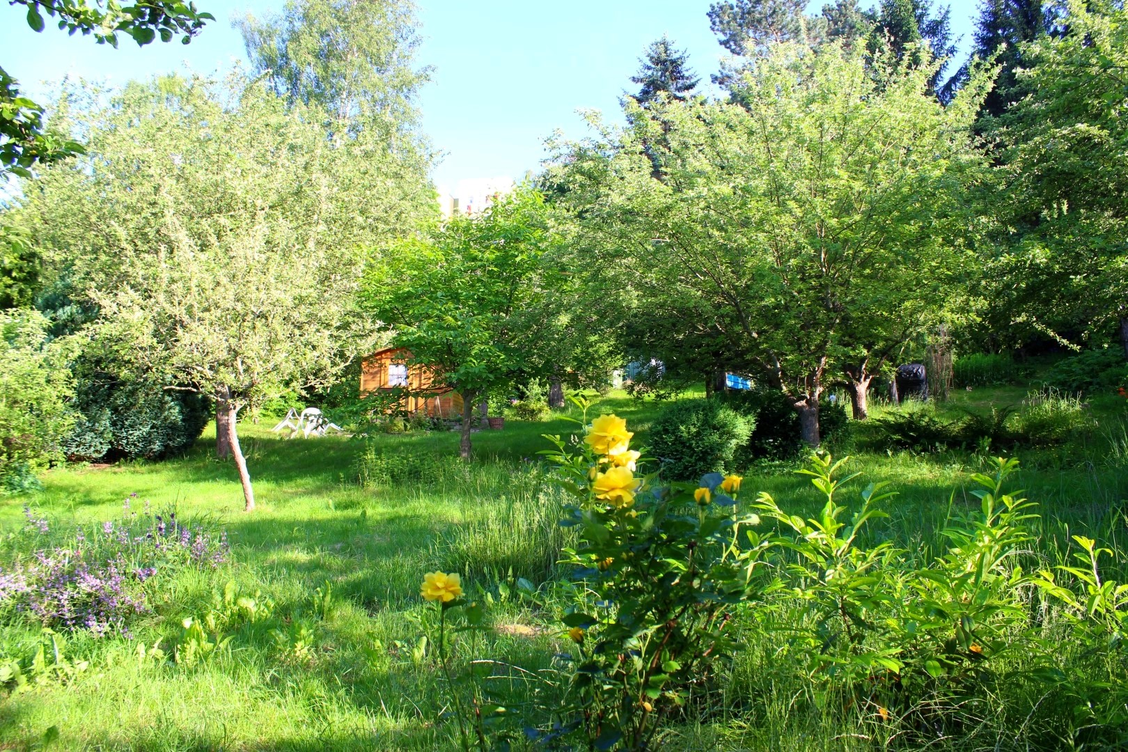 Gartengrundstück - Muldenweg, 99099 Erfurt